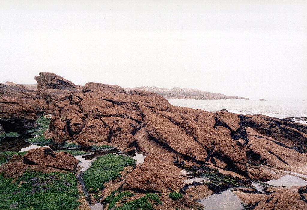 1996 - Bretagne 01 (Quiberon - Avril 1996)).jpg